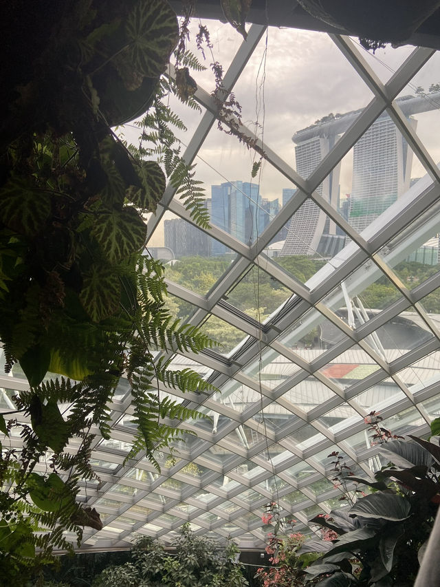 โดมยักษ์ Cloud Forest 🍃