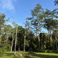 ไป camping ที่อุทยานแห่งชาติน้ำหนาวกัน