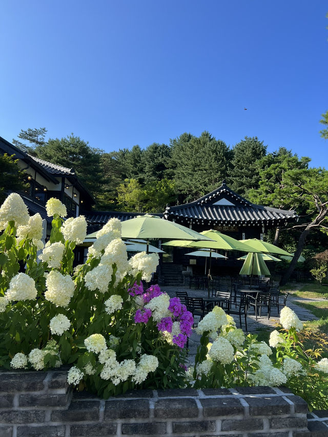 고즈넉한 한옥, 수국이 예쁜 포천 가비가배 카페 ☕️