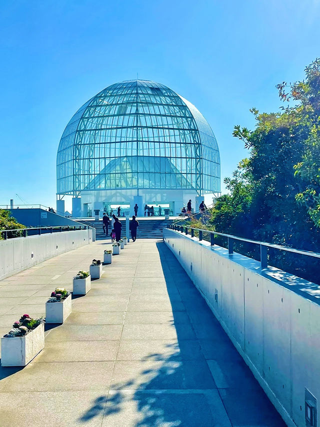 東京行程推薦：探索葛西臨海公園的自然與娛樂魅力🌊