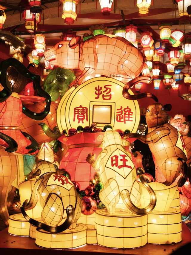 【長崎】異国情緒溢れるお祭り🪅 ランタンで埋め尽くされる幻想的なイベントへGO✈️