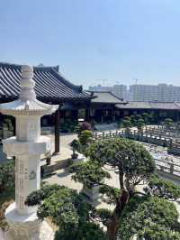 🌺🌼如世外桃源般的「志蓮淨苑」🪷🤩
