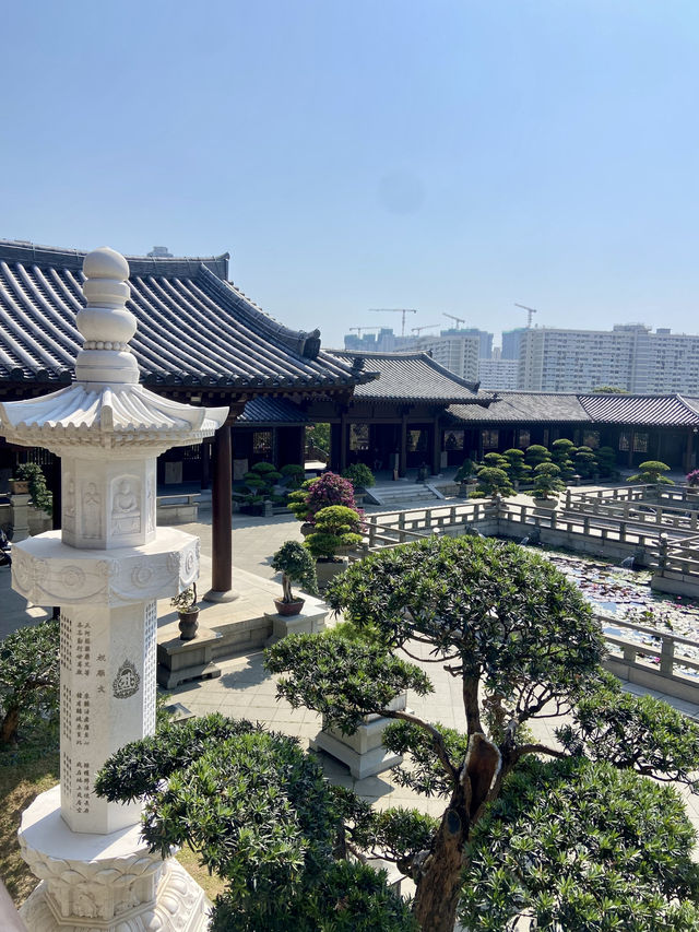 🌺🌼如世外桃源般的「志蓮淨苑」🪷🤩