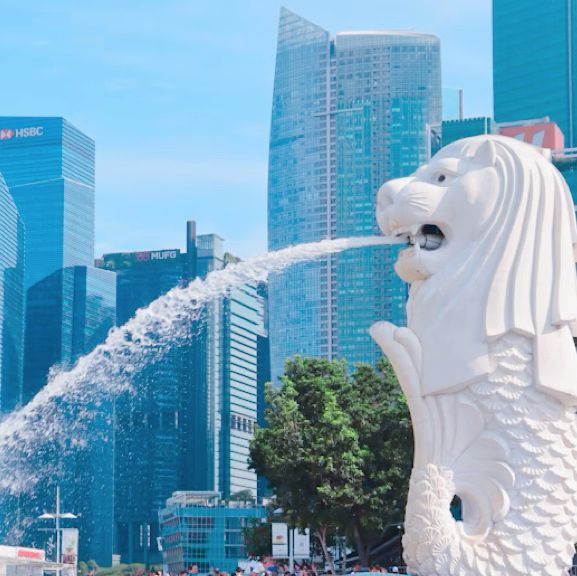 シンガポールのシンボル🇸🇬✨