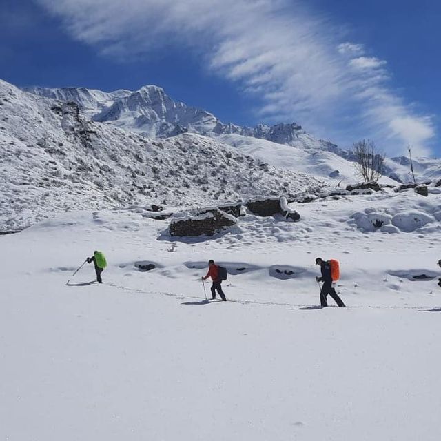  Annapurna Base camp Trek / 2024-2025