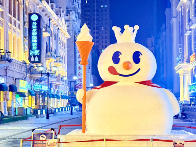 Winter Wonderland: Explore Harbin’s Snowy Streets!