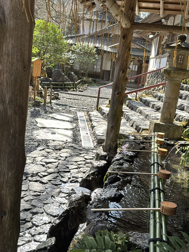 Magnificent Kifune Shrine, Kyoto 🇯🇵