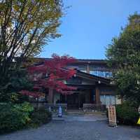 [阿佐ヶ谷]厄除けパワースポット[阿佐ヶ谷神明宮]