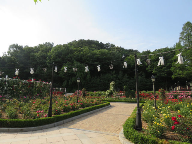 🇰🇷 首爾超美打卡樂園！