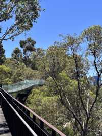 Kings Park