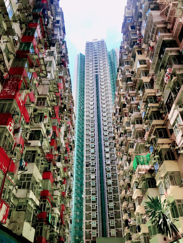 Monster Buildings in Quarry Bay