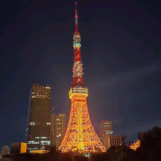 東京タワー夜景散歩：煌めく東京の象徴を巡る旅