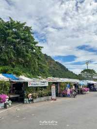 เขื่อนขุนด่าน เที่ยวใกล้กรุง ธรรมชาติและวิวสุดอลัง