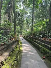 Ubud Monkey Forest