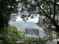 10,000 Buddhas, One Journey: A Peaceful Escape in Sha Tin