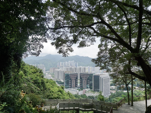10,000 Buddhas, One Journey: A Peaceful Escape in Sha Tin