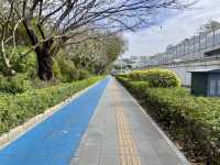 週末好去處🔥如非洲草原般的深圳「東湖公園」🌴🏞️