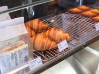 부산 남천동 광안리 카페 모모스커피 도모헌점☕️