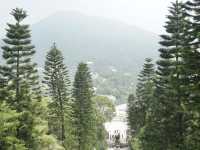 Hong Kong’s Sacred Icon: A Moment at the Big Buddha