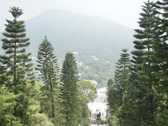 Hong Kong’s Sacred Icon: A Moment at the Big Buddha