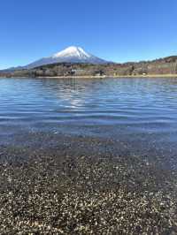 山中湖🇯🇵單車遊湖賞富士山🗻