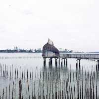 Singapore’s Wild Side: A Scenic Stroll Through Sungei Buloh