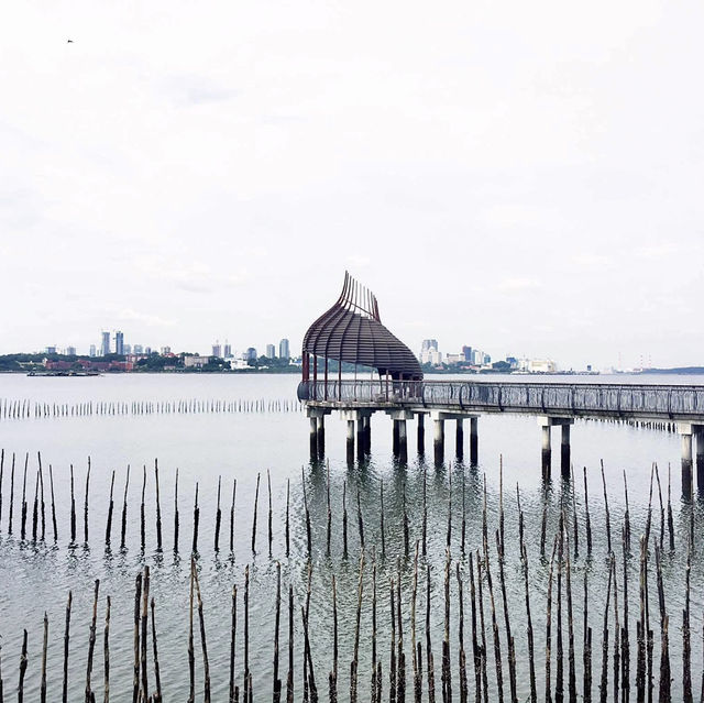 Singapore’s Wild Side: A Scenic Stroll Through Sungei Buloh