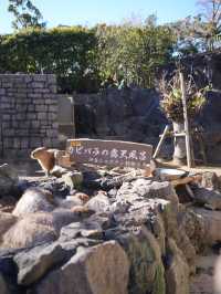 伊豆仙人掌公園！好好玩啊！