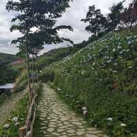 God's Valley Da Lat - The Hidden Myrhical Land