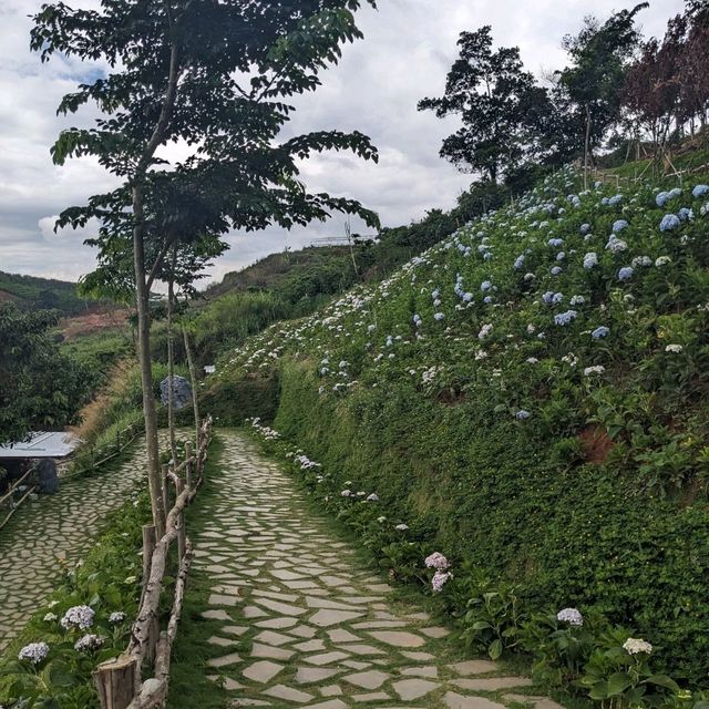 God's Valley Da Lat - The Hidden Myrhical Land
