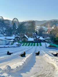 겨울에 에버랜드를 가야하는 이유 - ❄️