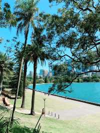 Royal Botanic Garden Sydney: A Green Escape by the Harbour