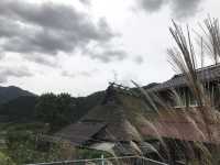 京都｜遺世獨立的美山町 京都小合掌村かやぶきの里