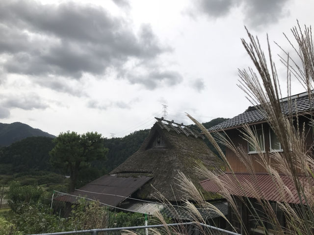 京都｜遺世獨立的美山町 京都小合掌村かやぶきの里