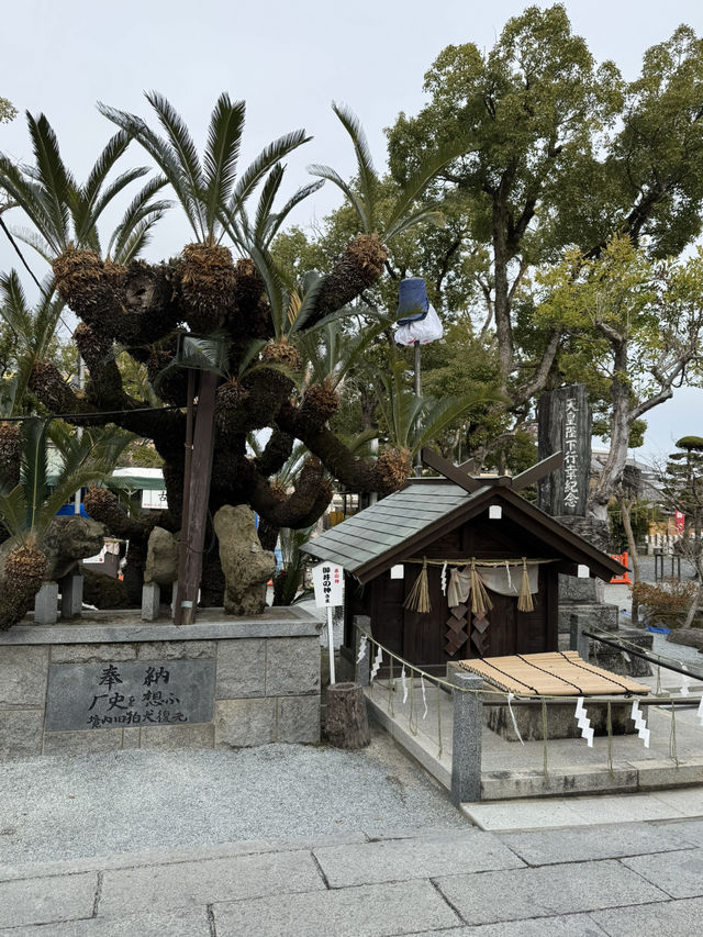 【福岡観光】御神木の大きさに驚き🌳地元で愛される神社⛩
