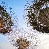 Singapore Unveiled: A Journey Through Modern Wonders & Hidden Gems