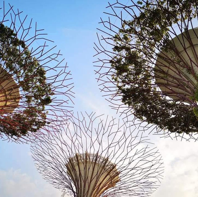 Singapore Unveiled: A Journey Through Modern Wonders & Hidden Gems