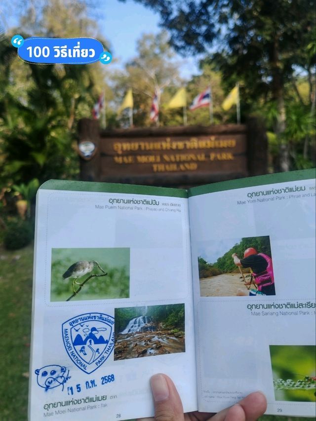 ม่อนปุยหมอก อุทยานแห่งชาติแม่เมย จ.ตาก