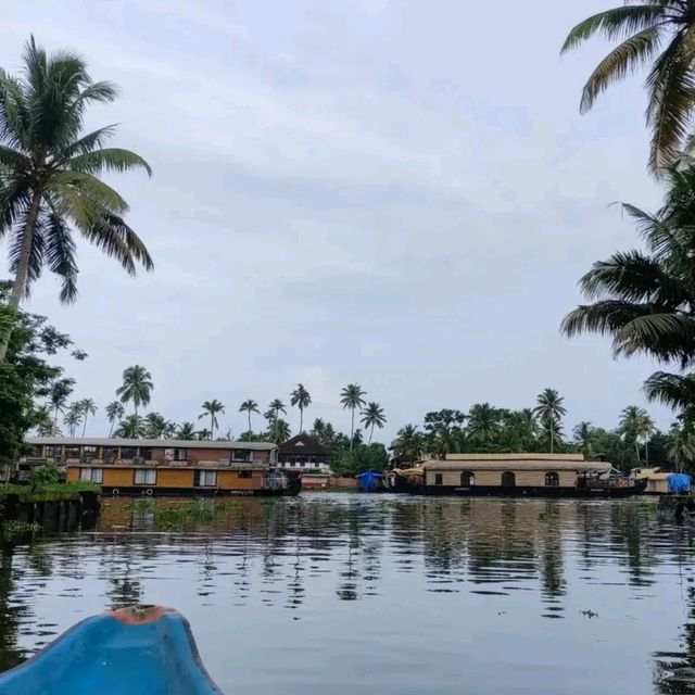 🌅 Awesome Views of Alleppey – A Picture-Perfect Paradise! 🚤🌴