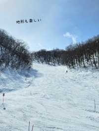 【岐阜／郡上】穴場のスキー場「ホワイトピアたかす」⁡