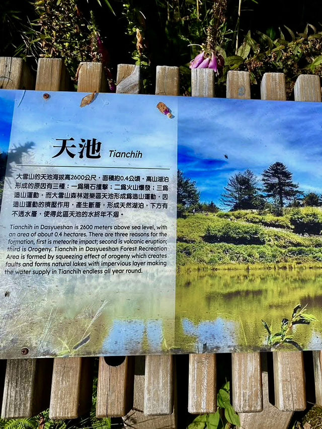 大雪山國家森林遊樂區賞參天巨木