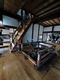 Day tour Nagoya - Inuyama castle 🏯