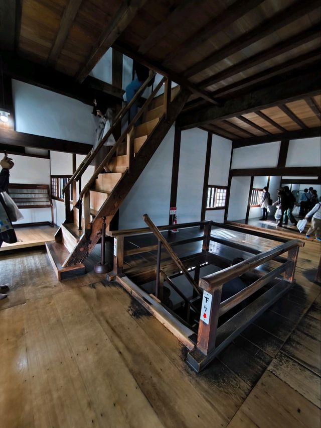 Day tour Nagoya - Inuyama castle 🏯