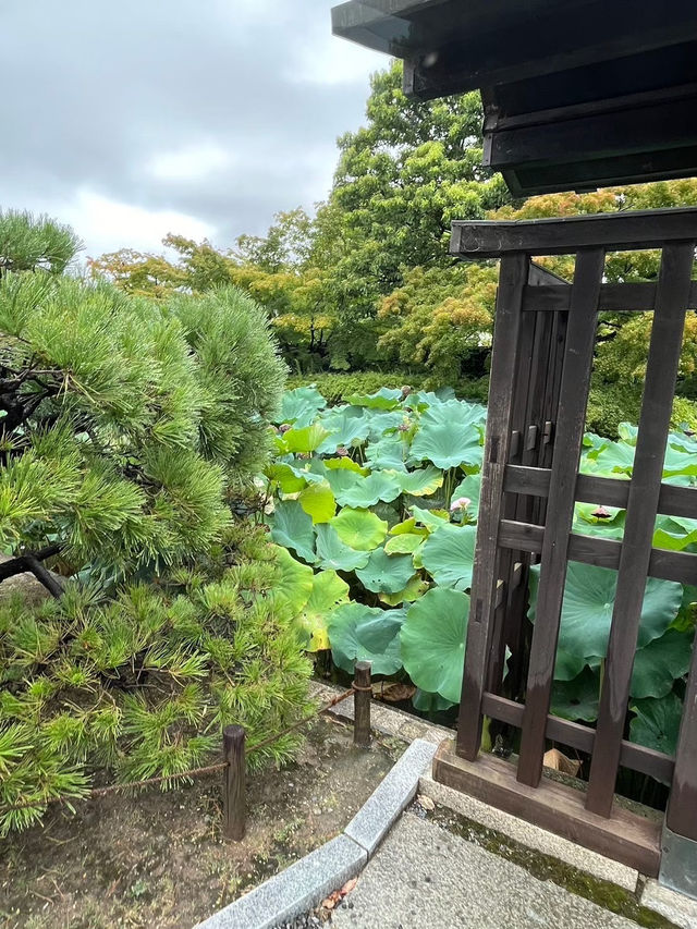 東寺：京都的最後一站，輕鬆悠閒的美好結尾！
