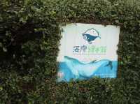 台中清水景點｜海灣繪本館：走進繪本的世界，夢幻的閱讀空間