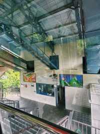 日本三大渓谷美！絶景の寒霞渓を空中散歩🚠🍁
