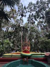 คู่มือการเดินทางคำชะโนด