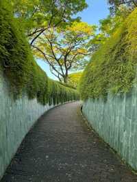 Fort Canning Tree Tunnel