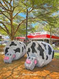 ขับรถตะลอนฟาร์ม กิจกรรมครอบครัวที่ฟาร์มโชคชัย🐮