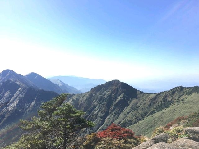 石鎚もみじ祭り